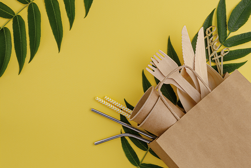 Bude jednorázové nádobí znečišťovat životní prostředí?