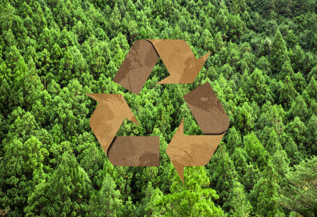 Příručka FSC & EUDR & PEFC pro pořizování jednorázových cateringových potřeb